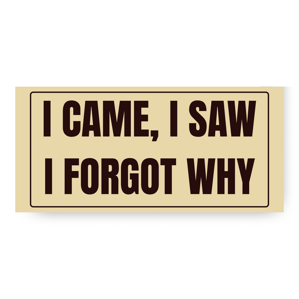 I Came, I Saw, I Forgot Why Bumper Sticker